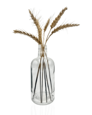 BOTELLA BARRICA 500 ml GUALA BLANCA - Pack de 16 uds.